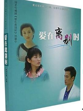 爱在离别时,情感交织的时光之旅